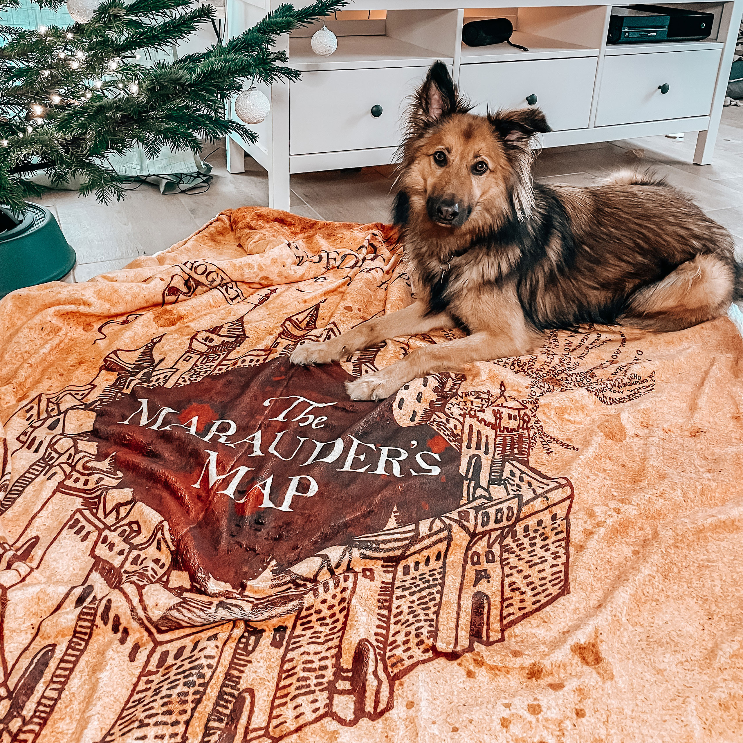 Harry Potter - Mapa del Merodeador Manta de felpa con piel de oso de peluche