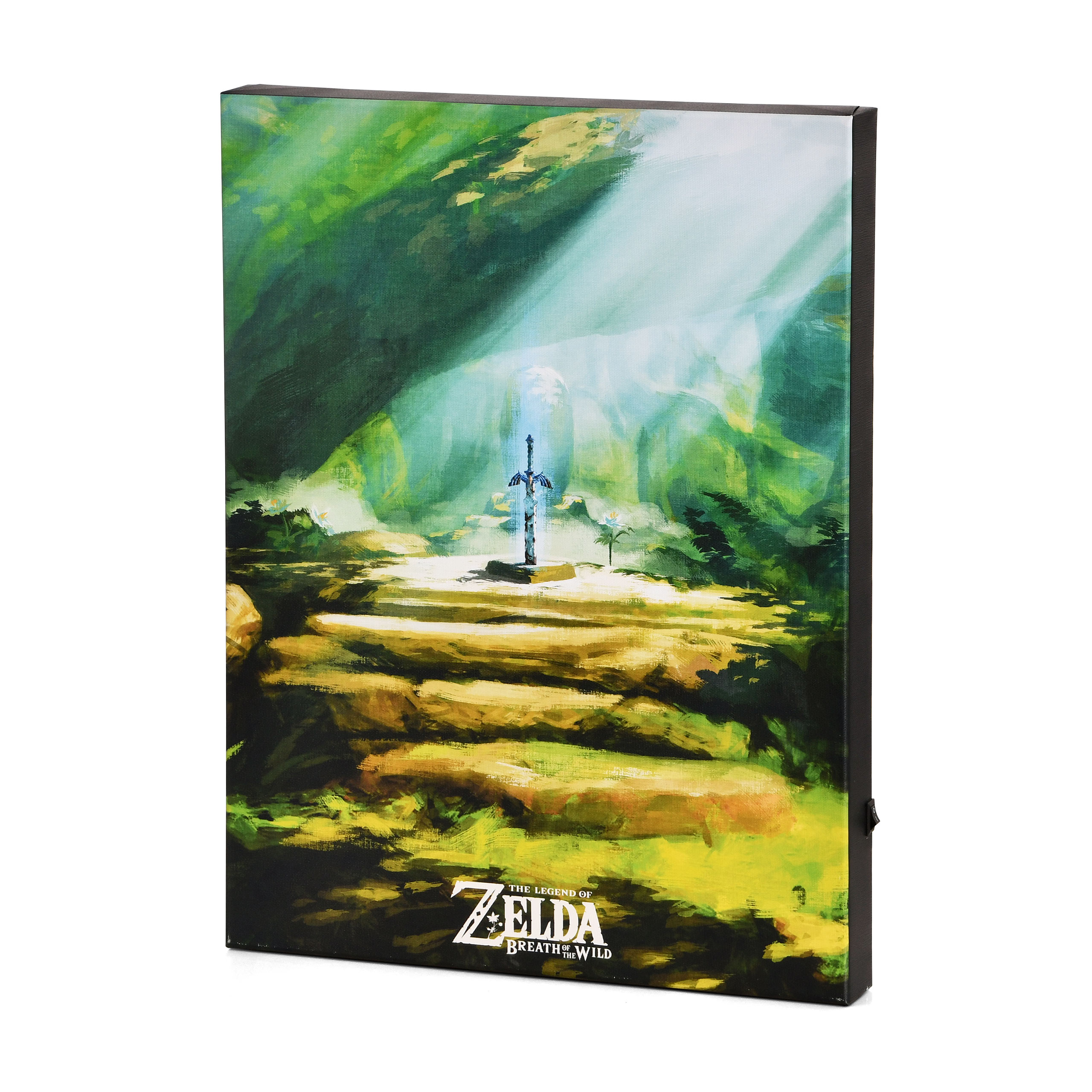 Zelda - Master Sword Wall Art with Light - Pyramid International