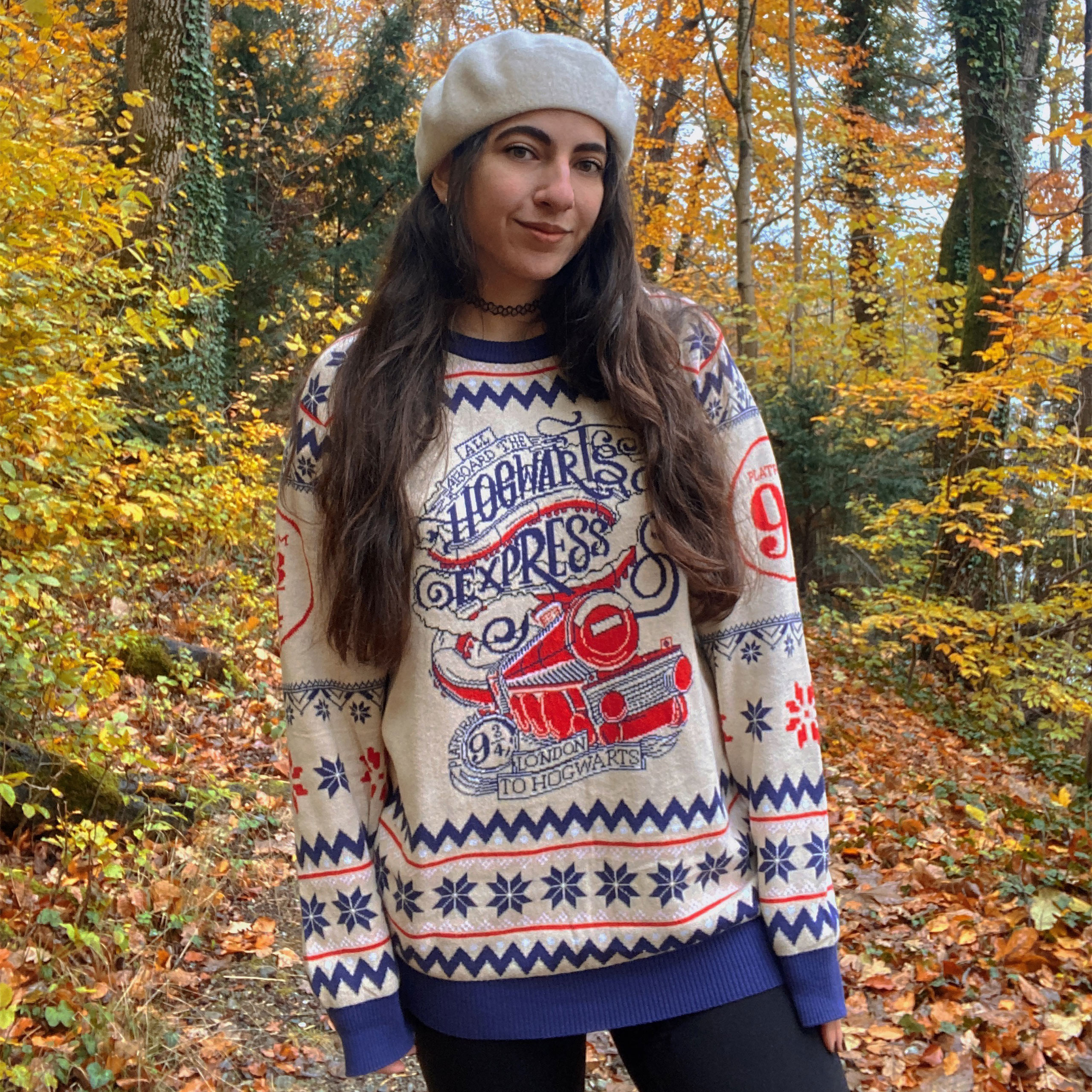 Harry Potter - Pull tricoté Hogwarts Express - M - Beige/Bleu/Rouge