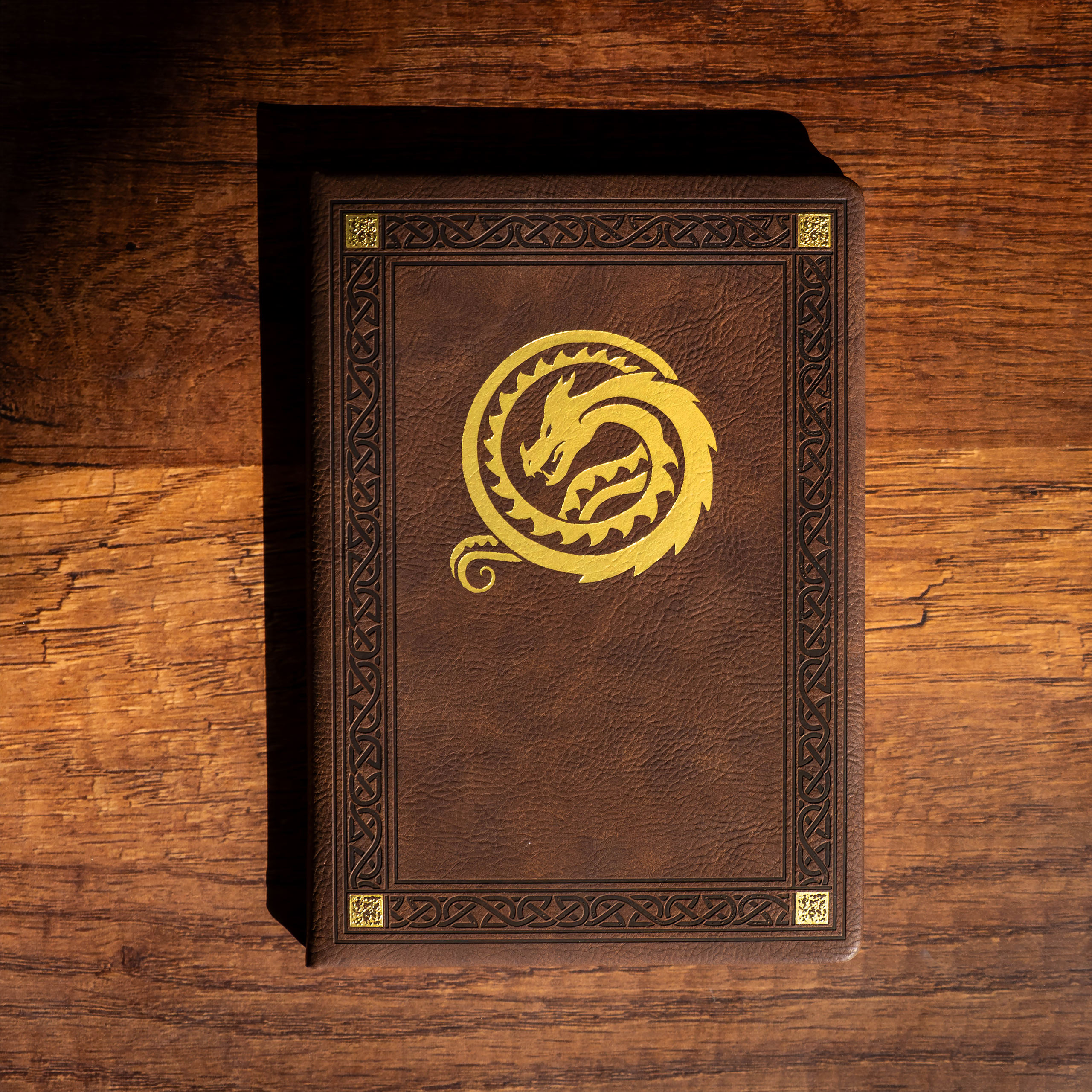 How to Train Your Dragon - Dragon Notebook