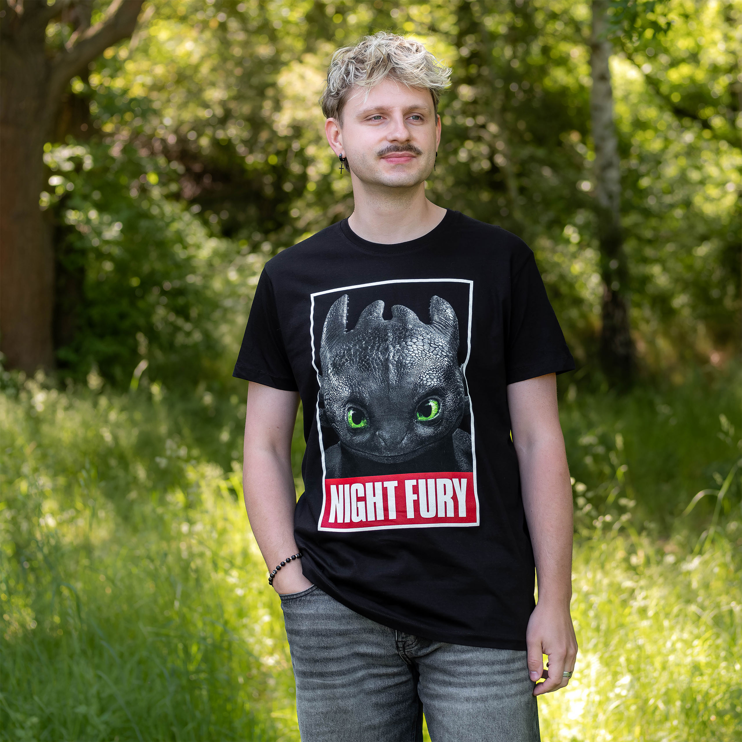 Dragons - T-shirt Poster Night Fury Noir - XXL - Noir