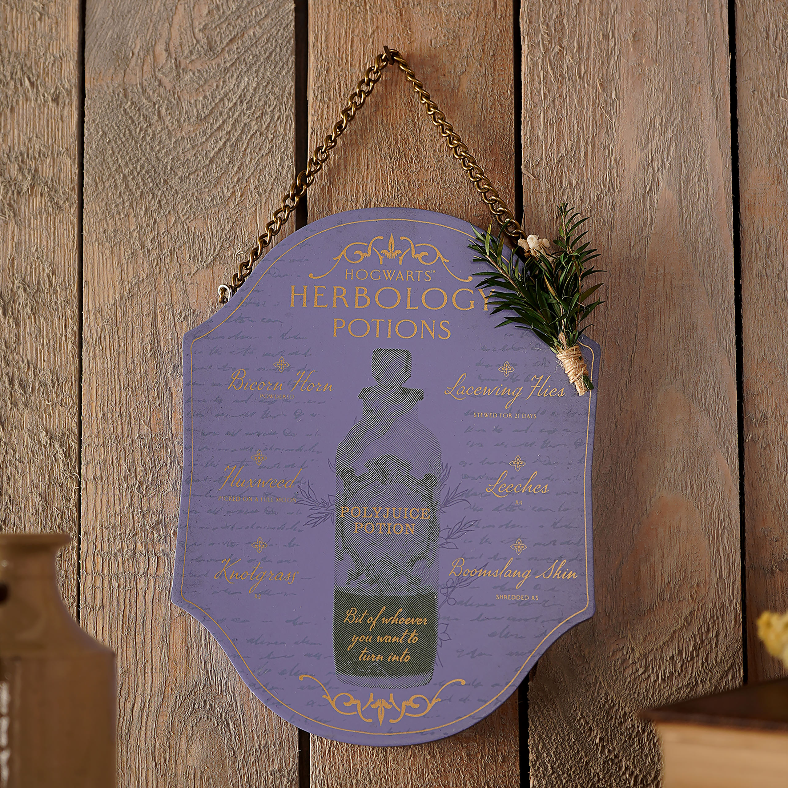 Harry Potter - Kräuterkunde und Zaubertränke Wandbild Holz