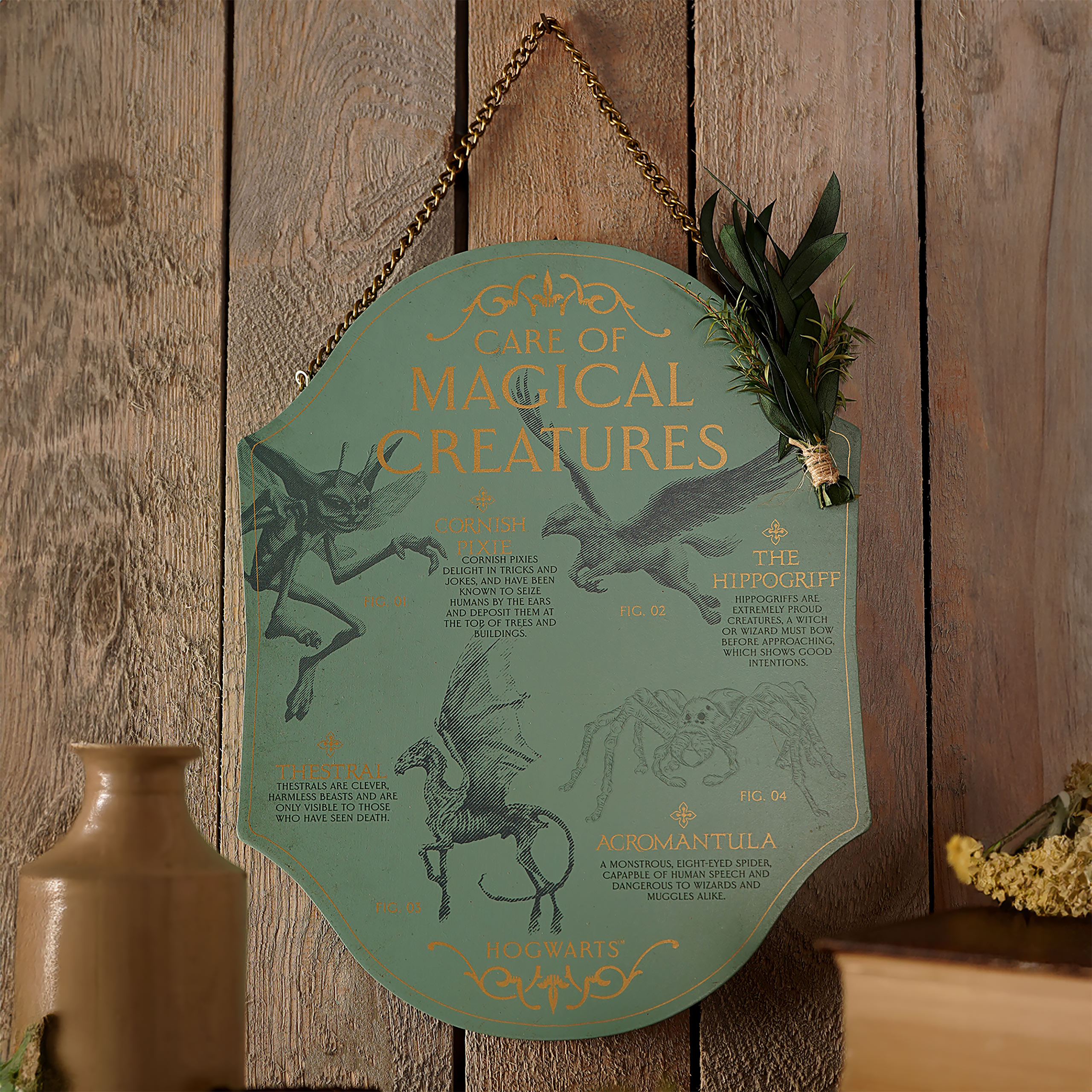 Harry Potter - Pflege magischer Kreaturen Wandbild Holz
