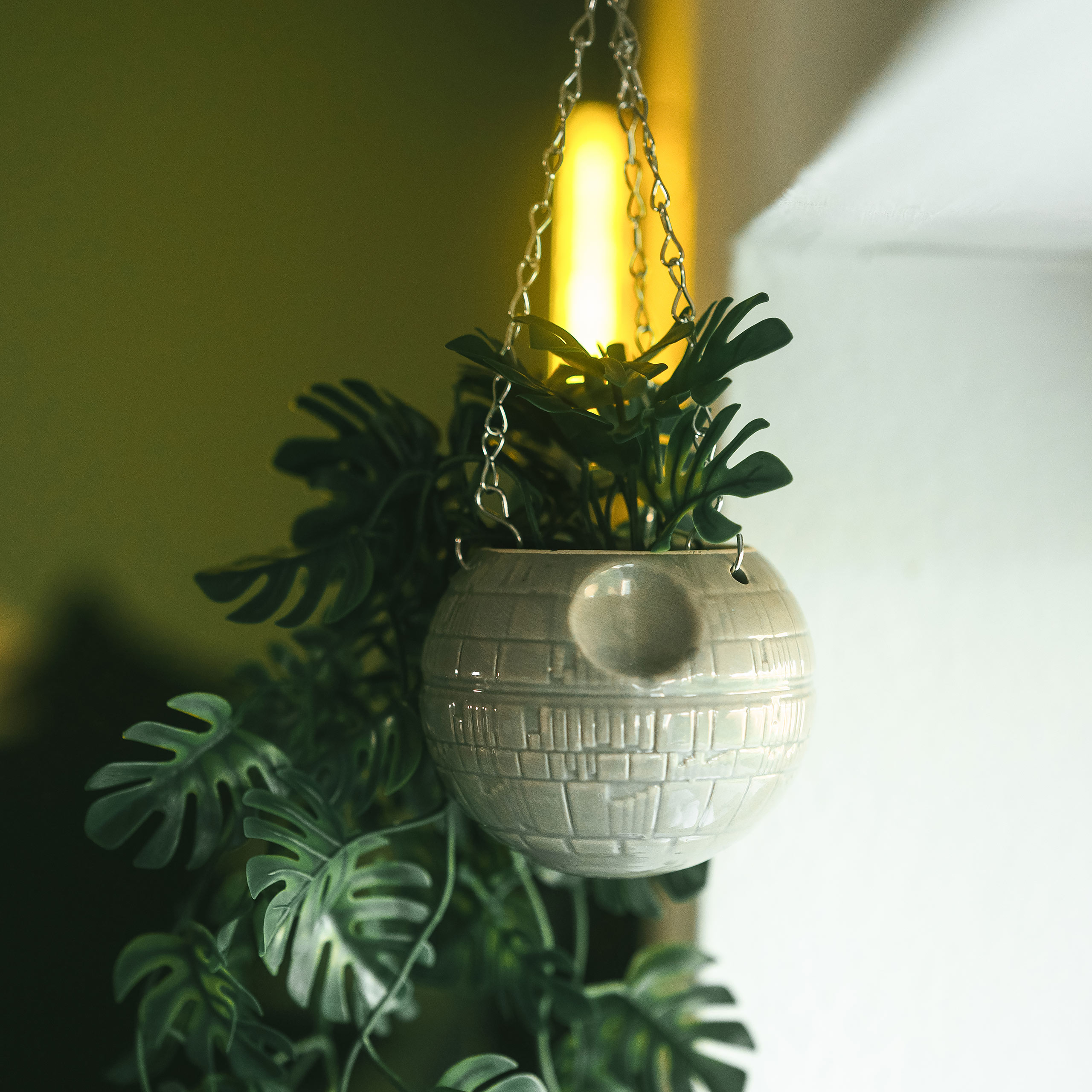 Death Star Hanging Planter - Star Wars