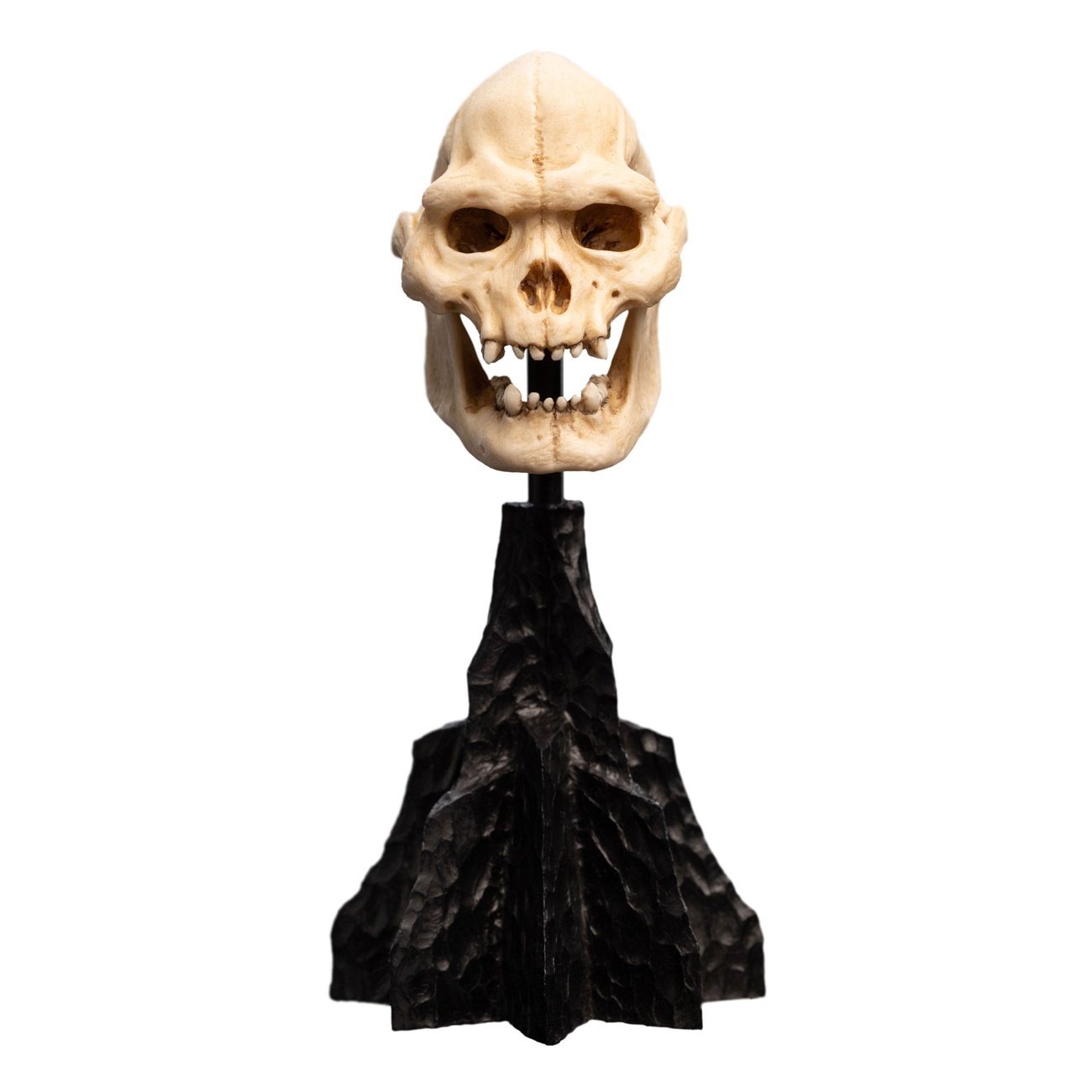 The Lord of the Rings - Skull of Lurtz Mini Statue - Weta Workshop