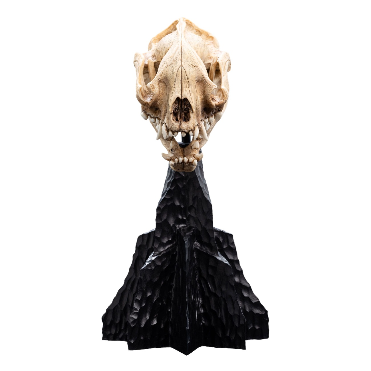 El Señor de los Anillos Mini estatua Skull of a Warg 20 cm - FiGGYZ