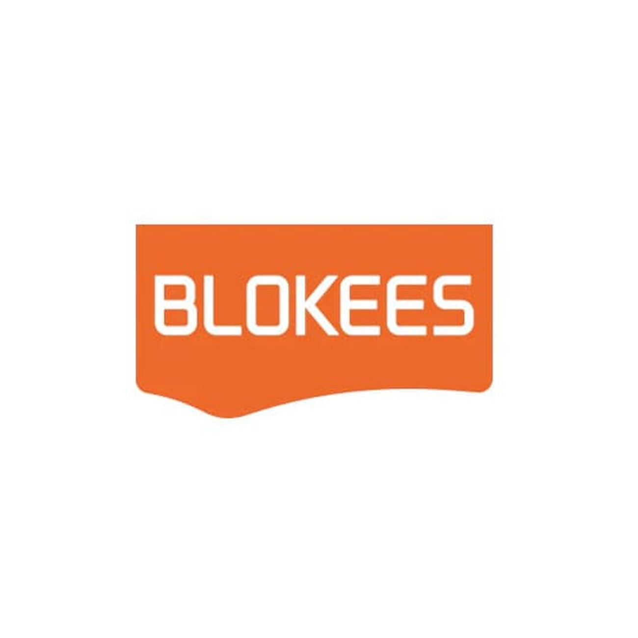 Transformers Blokees Plastic Model Classic Class 13 Elita - Bandai